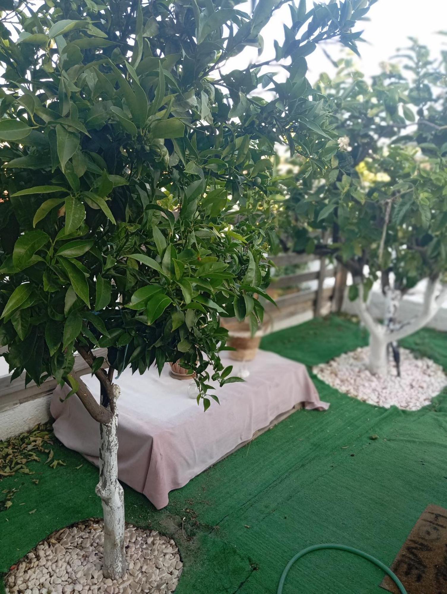 Palaiokastro  Queens Luxury Glamping מראה חיצוני תמונה