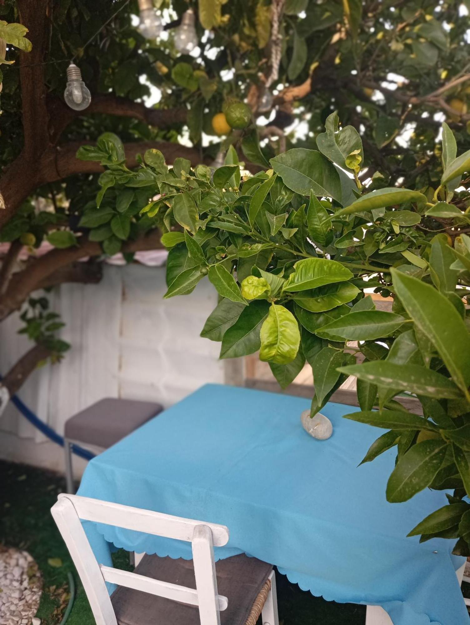 Palaiokastro  Queens Luxury Glamping מראה חיצוני תמונה