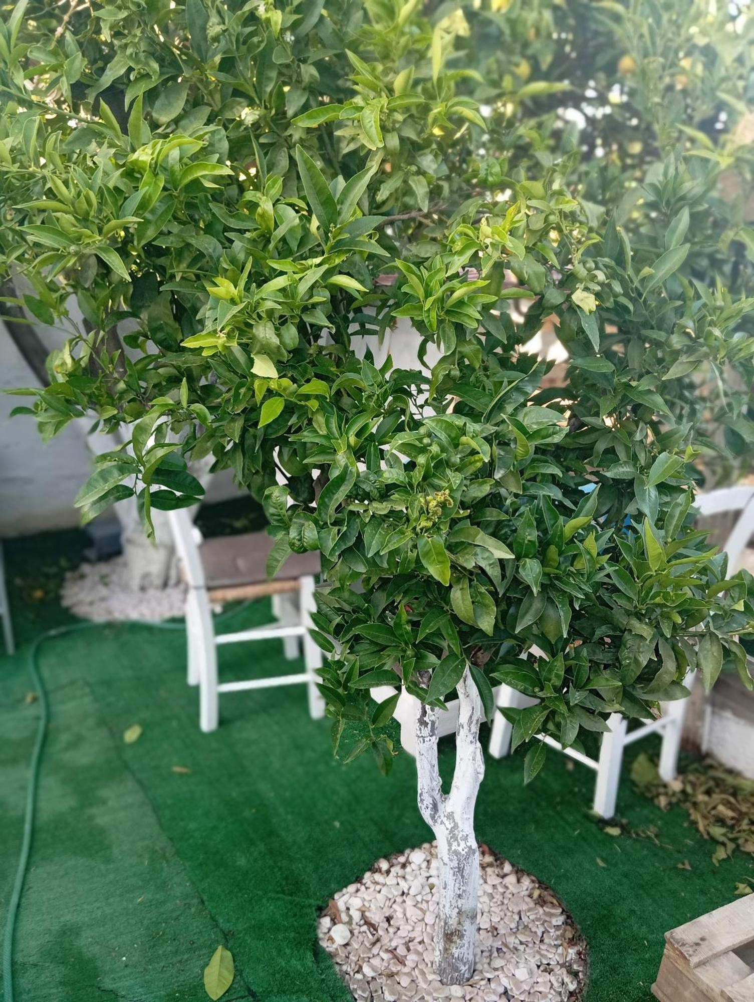 Palaiokastro  Queens Luxury Glamping מראה חיצוני תמונה